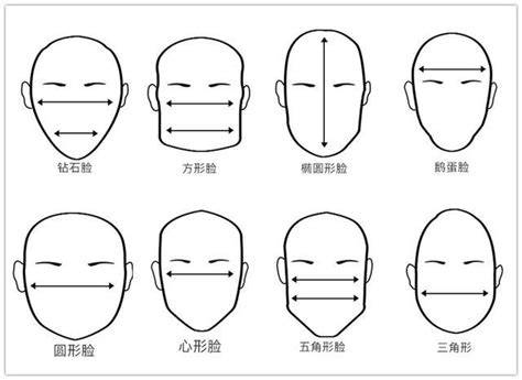 不同面相|形态与气质 —— 面相的科学解读